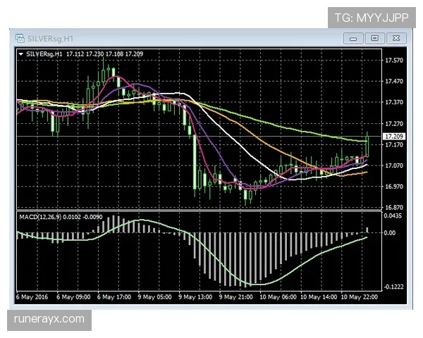 阿瑙托维奇战术适配性凸显，或成球队战略突破关键棋子